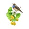 Bluethroat bird on a ginkgo tree branch. Watercolor illustration. Hand painted small garden bird singing on a ginkgo