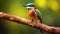 Bluethroated_Beeeater_Merops_viridis_rest_on_branch_in_1690599781805_3