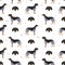 Bluetick coonhound seamless pattern. Different coat colors and poses set