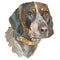 The bluetick coonhound watercolor hand painted dog portrait