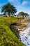 Bluffs along the Pacific Ocean in Santa Cruz