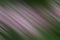 Blur abstract illustration background of soft pink brushed with slanted lines on green.