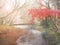 Blur autumn background