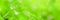 Blur background,nature leaf banner Size pattern.