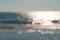 Blur defocused of the beach in afternoon