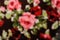 Blur flower tile fabric