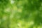 Blur focus green nature background