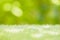 Blur fresh green grass field natural backdrop summer bright space for products advertising montage background