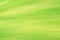 Blur fresh green spring foliage gradient