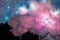 blur galaxy nebula back on night cloud  sky on tree