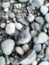 Blur photo or defocused abstract background of smooth small rocks on black sand