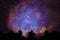blur purple galaxy nebula back on night cloud sky silhouette dry tree