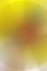 Blur yellow abstract backdrop design. texture effect