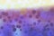 Blure bokeh texture wallpapers rainbow bubble and background