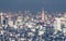 Blurred abstract background lights of beautiful Tokyo cityscape