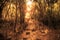 Blurred abstract background photo of forest with surreal motion blur effect