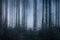 A blurred abstract edit of a dark, spooky forest on an atmospheric misty evening