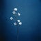 Blurred Analog Photograph Of Forget-me-not In Front Of Dark Blue Wall