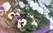 Blurred backdround of Multicolor pansy flowers, pansies as background