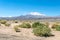 Blurred background of Atacama Desert landscape with snow-capped Andean volcanos, salt flat and some vegetation on horizon, Chile