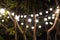 Blurred background, backyard illumination, light in the evening garden, electric lanterns with round diffuser. Lamp garland of