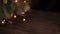 Blurred background, Christmas garland on the fir tree branches.
