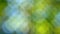 Blurred background of colorful defocused greenery nature background.