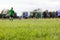 Blurred background of foBlurred background of football field. Boys playing soccer game. Kids in two teams playing tournament match