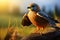 Blurred background frames a male kestrel in graceful mid flight, scenic