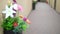 Blurred background. long hallway corridor with flowers in vases