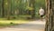 Blurred background of people activities in park with bokeh, spring and summer season