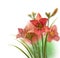 Blurred background with pink daylily