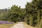 Blurred background with small countryside dirt road along the purple lavender field in Provence village, France