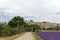Blurred background with small countryside dirt road along the purple lavender field in Provence village, France