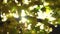 Blurred background of yellow and green leaves in autumn forest with bright beams of sun. Nature wallpaper, beautiful