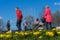 Blurred background of Young family with kids, pram in park, spring season, green grass meadow. In the foreground, bright