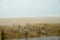 Blurred beach landscape through rain covered window