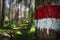 Blurred Bench along a forest hiking path in the Austrian Alps with a path sign painted on a tree trunk, Mieminger Plateau, Tirol,