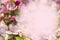 Blurred blossom closeup