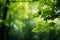 Blurred bokeh background with defocused green leaves eco friendly concept of a healthy environment