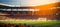 Blurred bokeh effect stadium with cheering fans, illuminated by game lights, with blurred action.