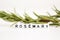 Blurred branch of rosemary in the background with close-up on plastic letter beads spelling â€œrosemaryâ€