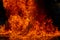 Blurred Bright Red and Orange Firestorm Texture on Black Background