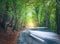 Blurred car going mountain road in summer forest at sunset