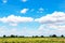 Blurred cassava plantation land and blue sky view for background, cassava or yucca field, tapioca farmland