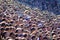 Blurred crowd of spectators on a stadium tribune