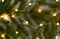 Blurred defocus green background of Christmas tree branches and garland lights