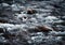 Blurred dramatic detail the fierce river