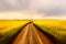 Blurred field road. Dark dramatic landscape stormy sky over field