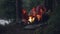 Blurred footage of travelers romantic young people sitting near campfire in forest, playing the guitar and singing